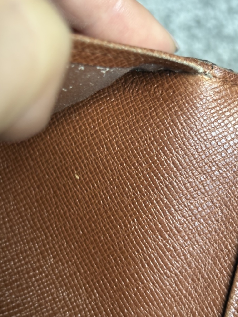 Authentic Louis Vuitton Agenda Oriental Cover - Picture 12 of 12